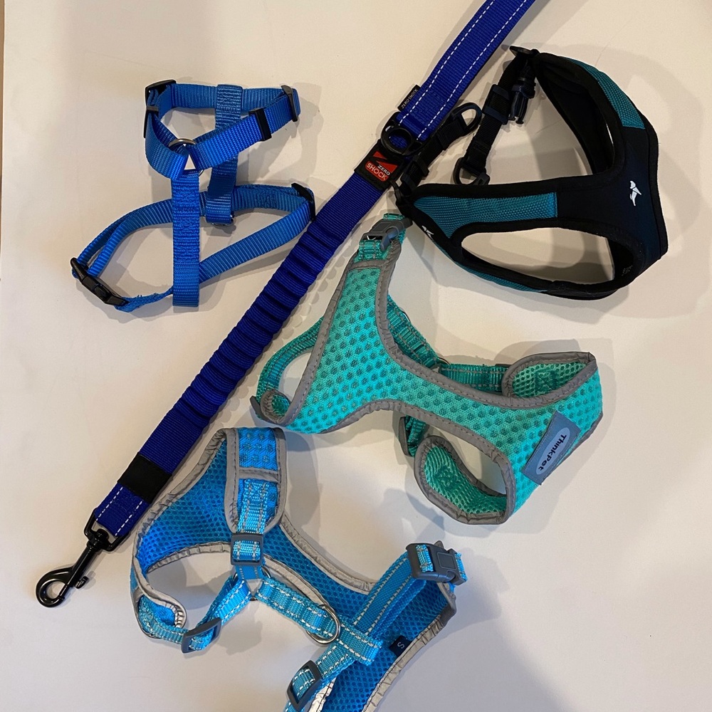 4 harnesses, no lung lead. 2 collars matching leashes